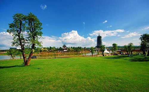 |@D(zhun)уЈɑ]ˆ᣿Dģ